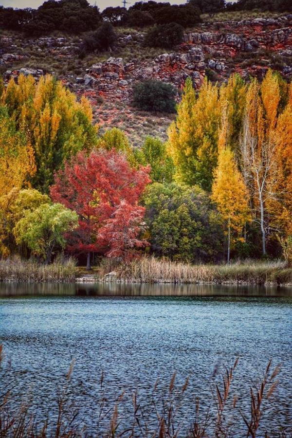 Casas Rurales Lagunas De Ruidera II Ossa de Montiel Dış mekan fotoğraf